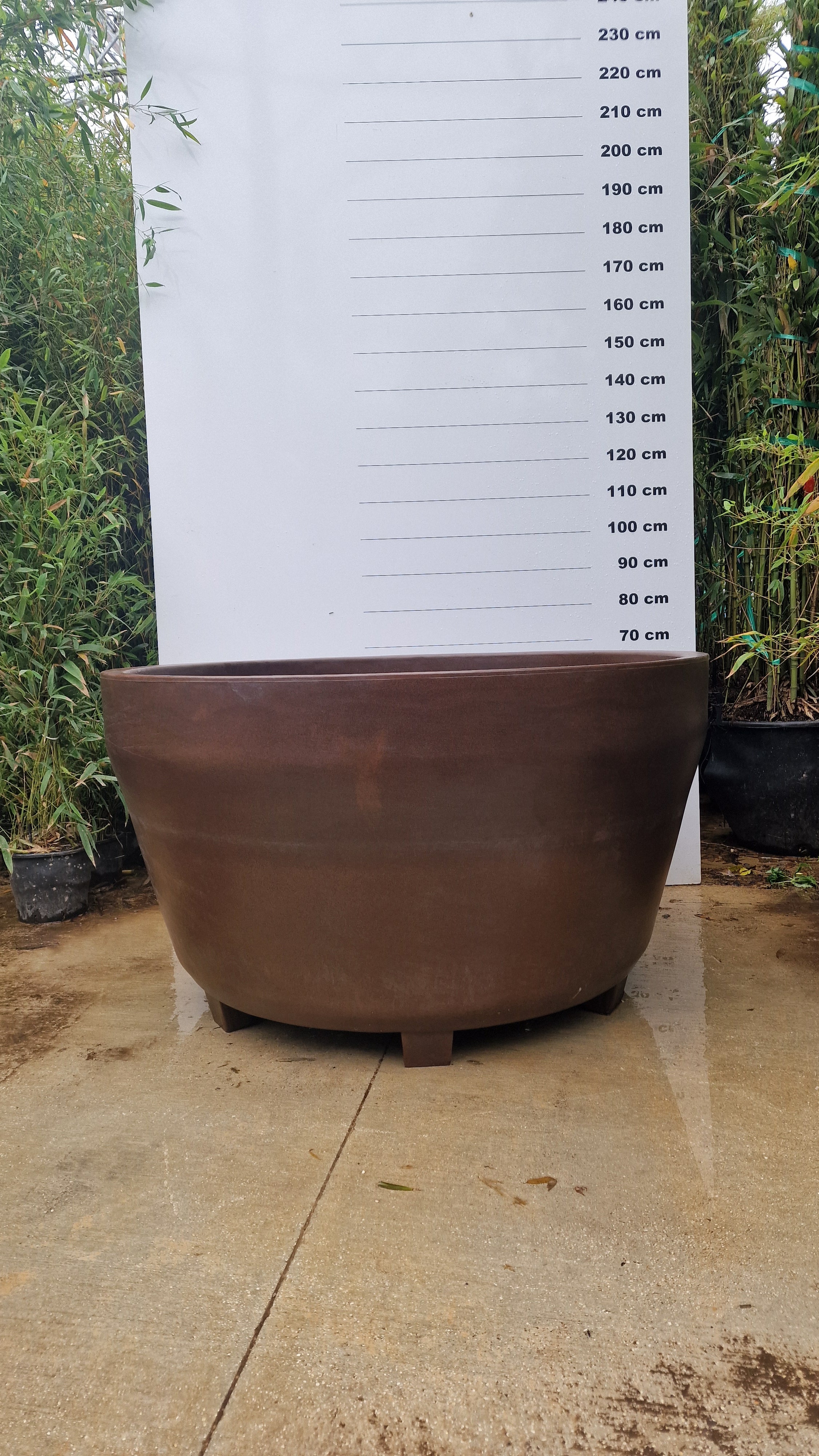 Pot Roma - Image 10