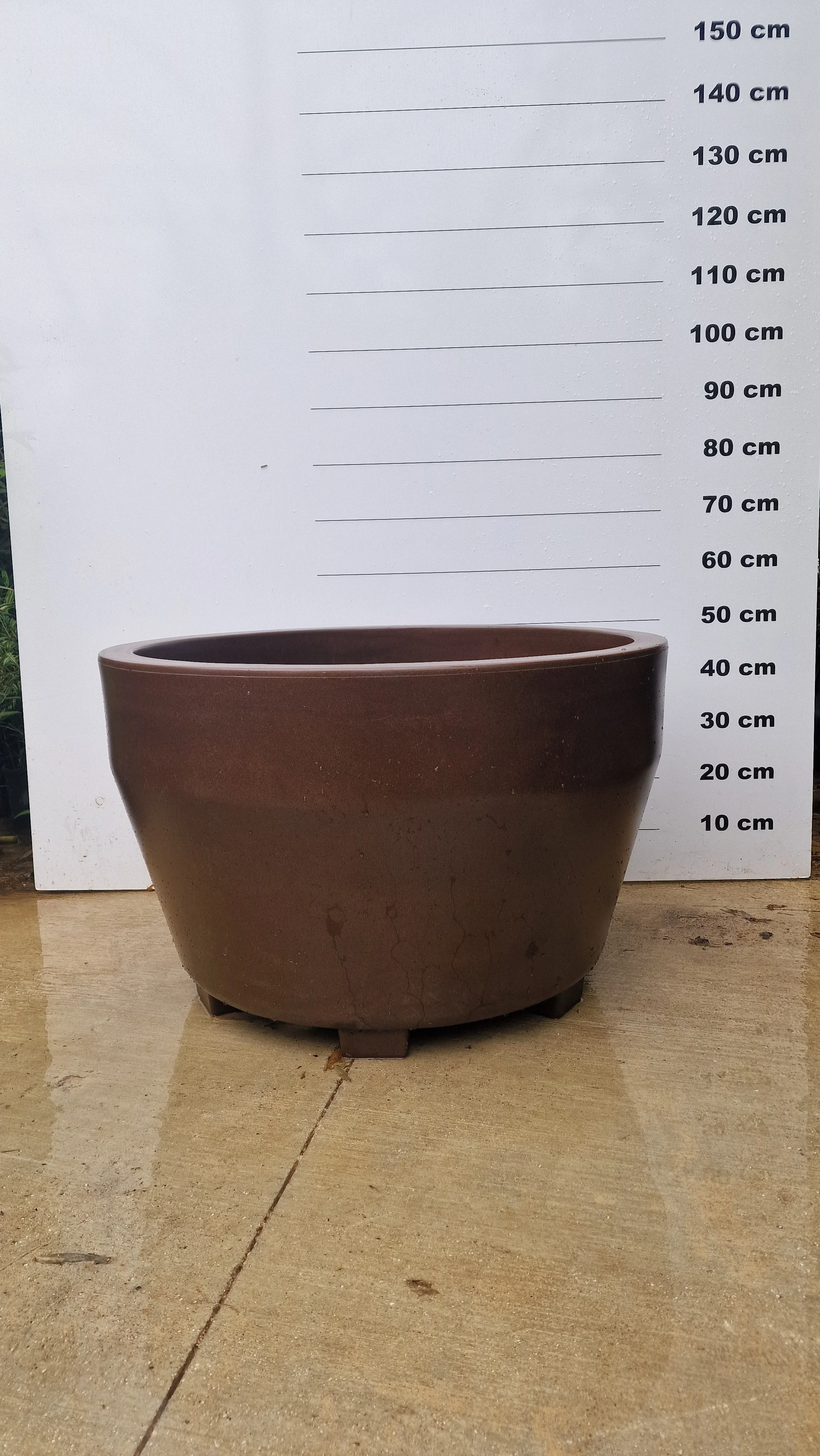 Pot Roma - Image 11