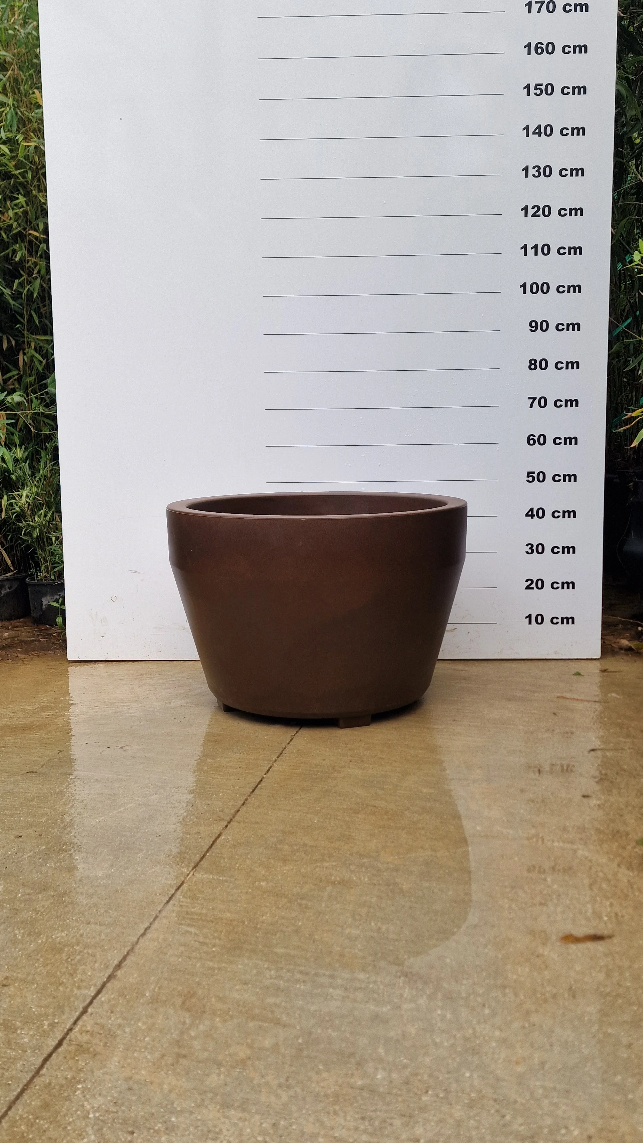 Pot Roma - Image 6