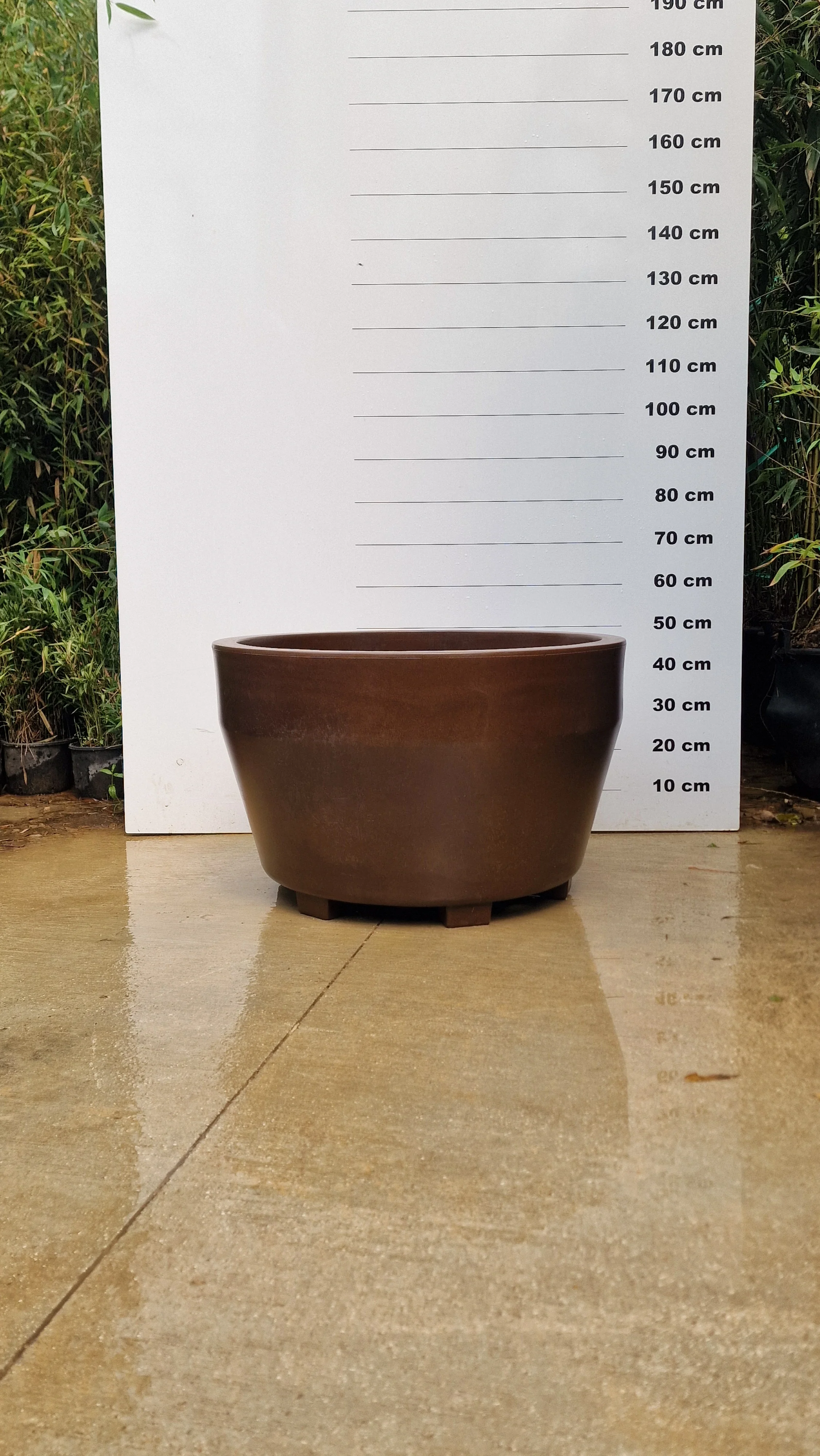 Pot Roma - Image 7