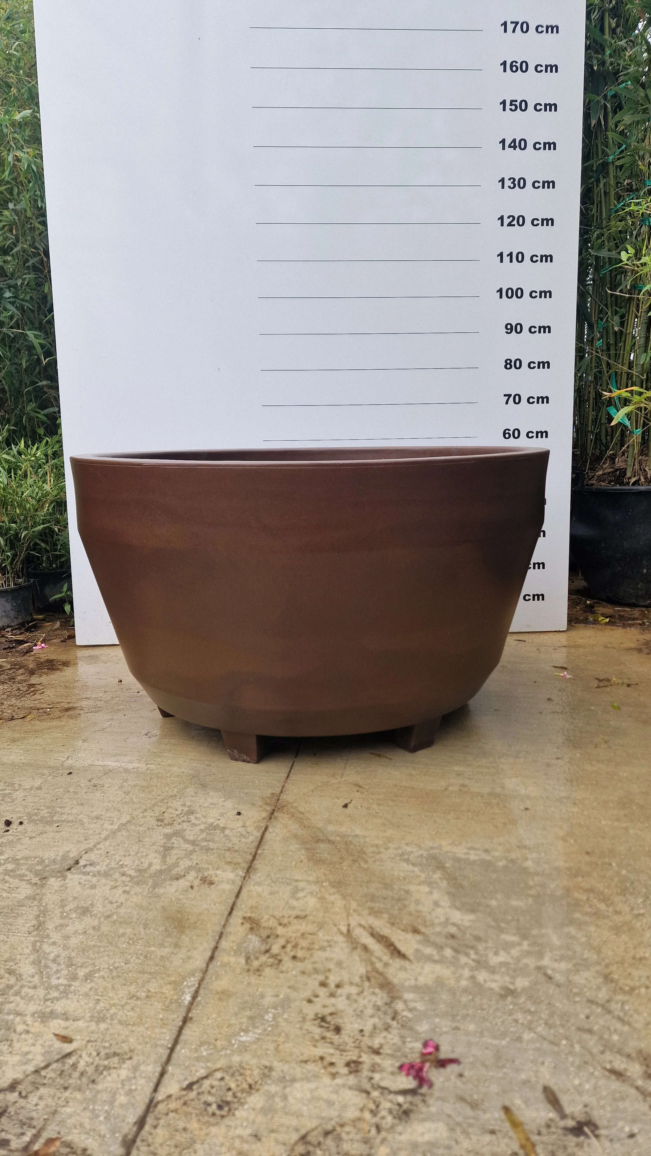 Pot Roma - Image 8