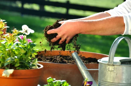 Tourbe - Image 4